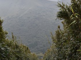DSC_4735.JPG