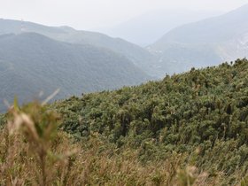 DSC_4740.JPG
