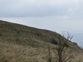 DSC_4746.JPG