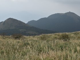 DSC_4751.JPG
