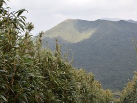 DSC_4789.JPG