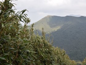 DSC_4790.JPG