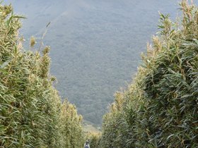 DSC_4791.JPG