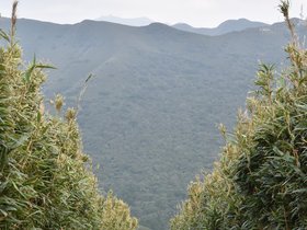 DSC_4792.JPG