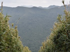 DSC_4793.JPG