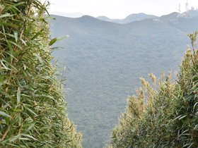 DSC_4795.JPG