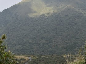 DSC_4797.JPG