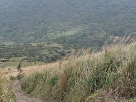 DSC_4799.JPG