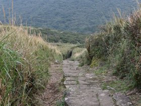DSC_4800.JPG