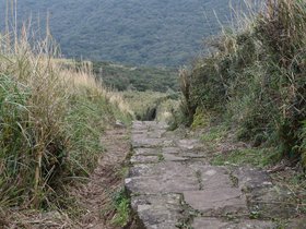 DSC_4801.JPG