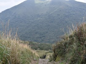 DSC_4802.JPG