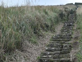 DSC_4805.JPG
