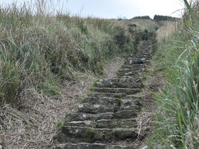DSC_4806.JPG
