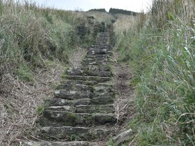 DSC_4808.JPG