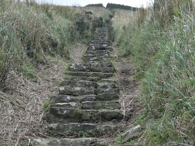 DSC_4809.JPG