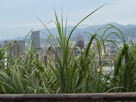 DSC_3014.JPG