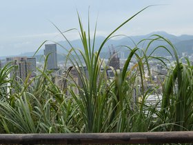 DSC_3016.JPG