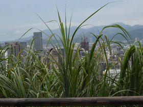 DSC_3024.JPG