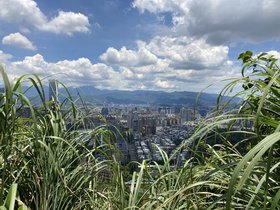 IMG_5154.JPG
