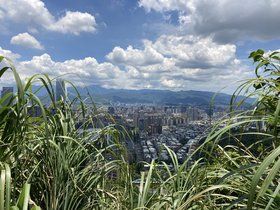 IMG_5155.JPG