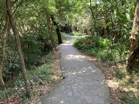 IMG_5324.JPG