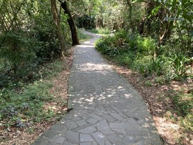IMG_5325.JPG