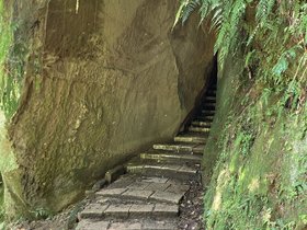 IMG_5368.JPG