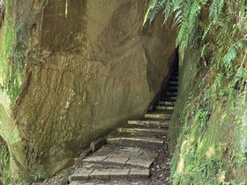 IMG_5369.JPG
