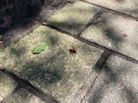 IMG_5391.JPG