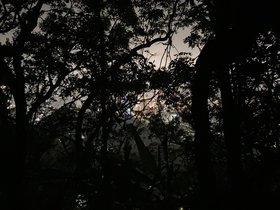 IMG_9264.JPG