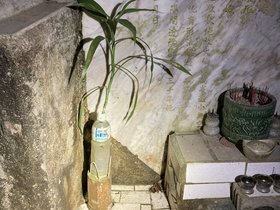 IMG_9274.JPG