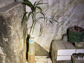 IMG_9275.JPG