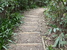 IMG_0957.JPG