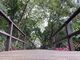 IMG_1803.JPG