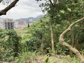IMG_1809.JPG