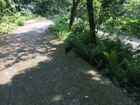 IMG_1972.JPG