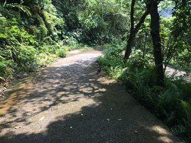 IMG_1973.JPG