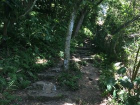 IMG_2499.JPG