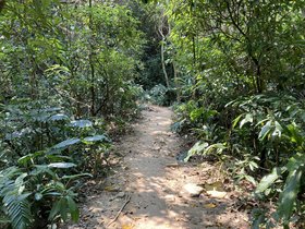 IMG_2837.JPG