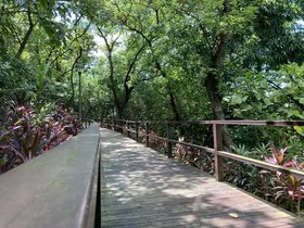 IMG_6183.JPG