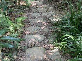 IMG_6422.JPG