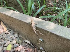 IMG_6423.JPG
