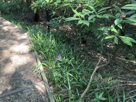 IMG_7884.JPG