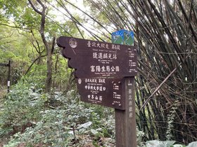 IMG_7919.JPG