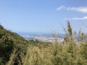 IMG_1979.JPG