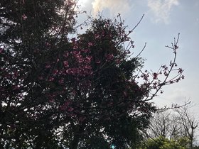 IMG_2105.JPG