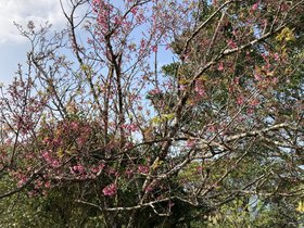 IMG_2107.JPG