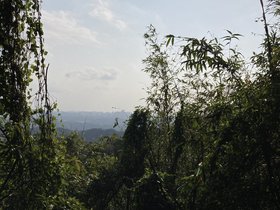 IMG_2114.JPG