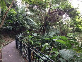 IMG_4491.JPG