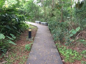 IMG_4496.JPG